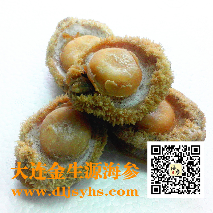 网鲍
